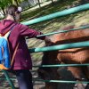 STUDENCKA WSPÓLNOTA W ZOO 2019